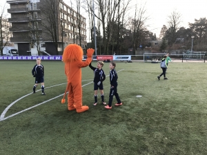 Een leeuw aan de Spanjaardslaan